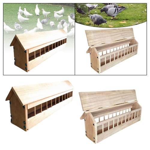 Pigeon feeder trough chicken - feeder,