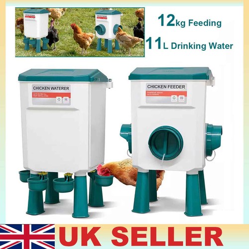 12kg chicken feeder bird - chicken,