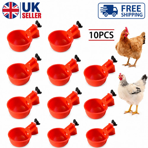 Automatic chicken water cup - chicken,