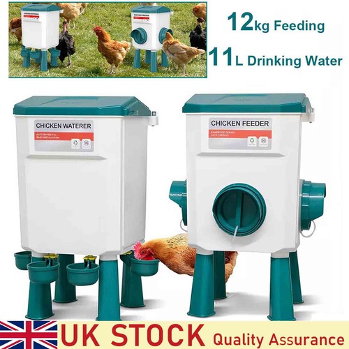 12kg chicken feeder bird - chicken,