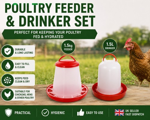 Poultry chicken feeder drinker - chicken,