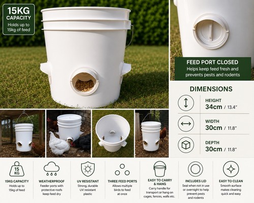 Chicken poultry feeder - poultry,