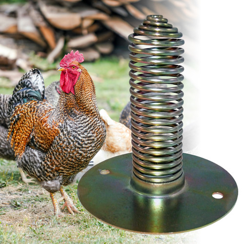 Poultry spiral spring - poultry, feeder