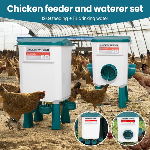 12kg chicken feeder 11l - chicken, +
