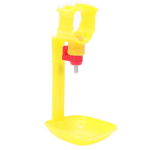 Hot poultry chicken hanging - hot,