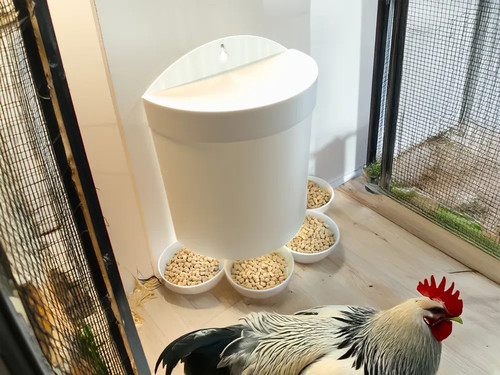 Wall mounted chicken - wall,