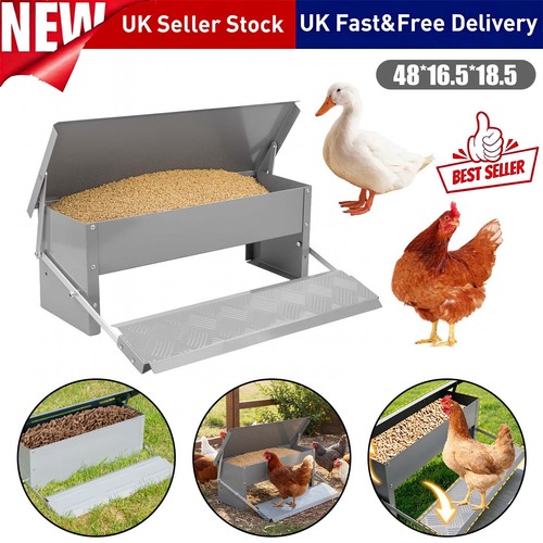 Auto chicken treadle - chicken,