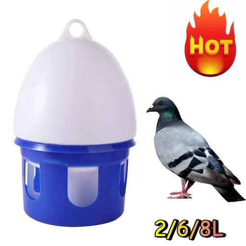Automatic bird pigeons - automatic, feeder