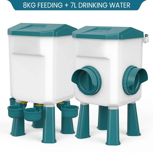 Chicken poultry feeder - poultry,
