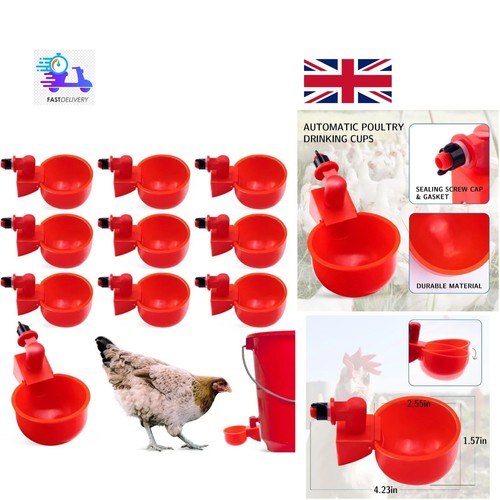 Poultry feeder chicken - feeder,