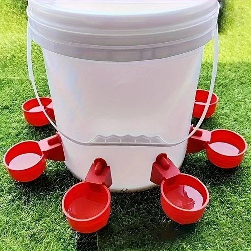 Automatic chicken water - chicken,