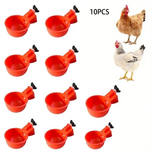 Automatic chicken water - 10,