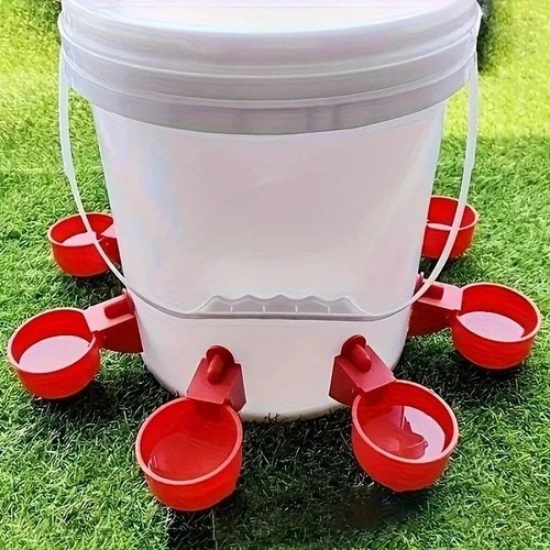 Automatic poultry water - automatic,