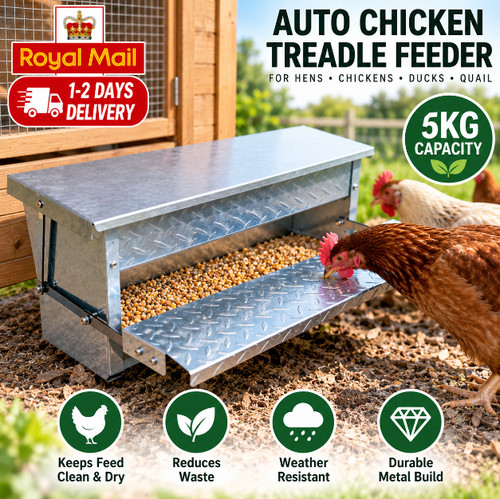 Auto chicken treadle feeder - chicken,