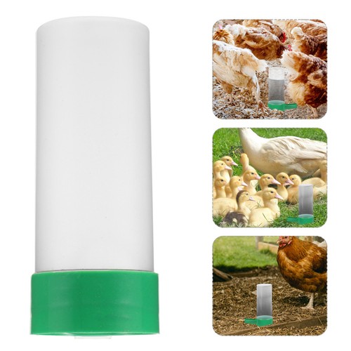 Poultry feeder chicken - feeder, feed