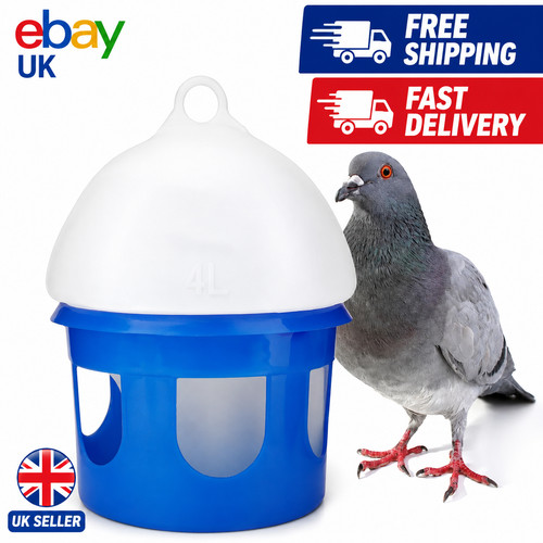Automatic bird pigeons feeder - pigeons,