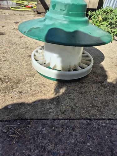 Green white plastic chicken - green, &