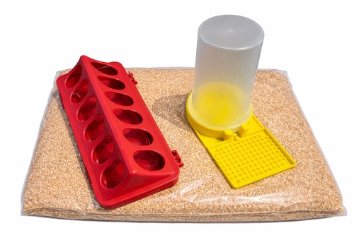 Quail chick chicken feeder - /chicken, &