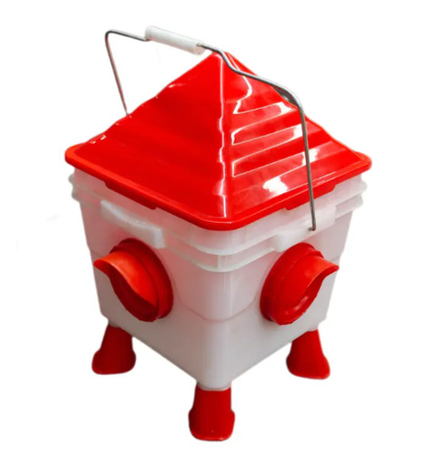 Chicken poultry feeder chick - poultry,