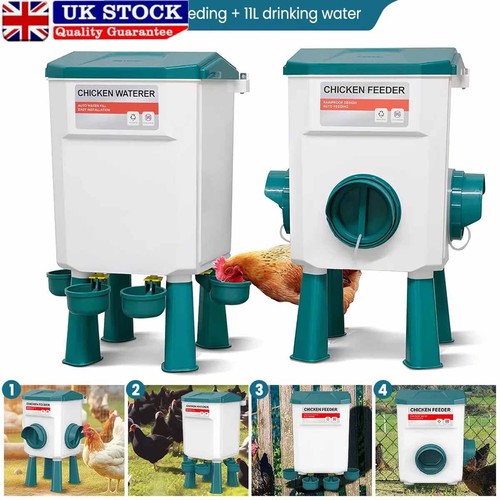 Chicken poultry feeder - poultry,