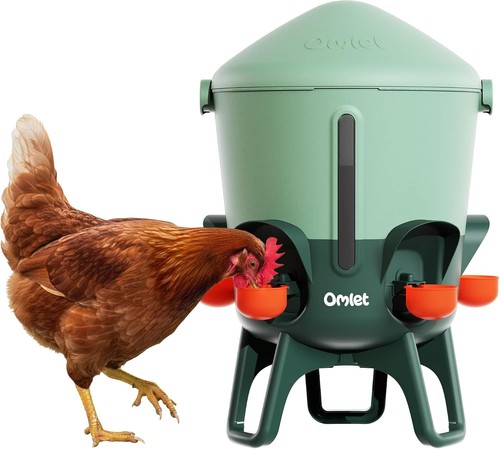Insulated chicken drinker 11 - insulated, drinker,