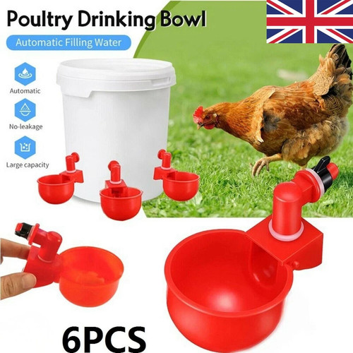 Automatic chicken water cup - automatic,