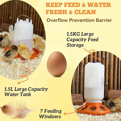 Chicken poultry feeders - chicken,