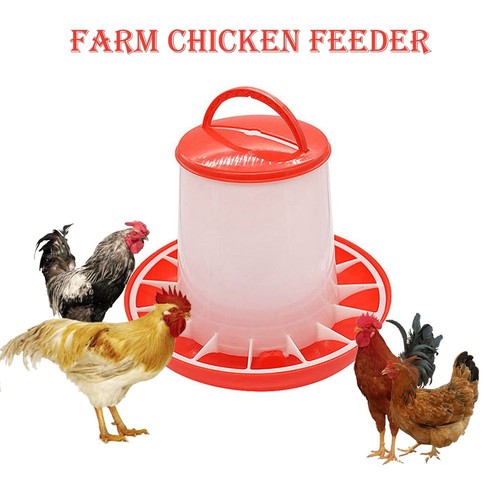 Chicken poultry feeder - chicken,