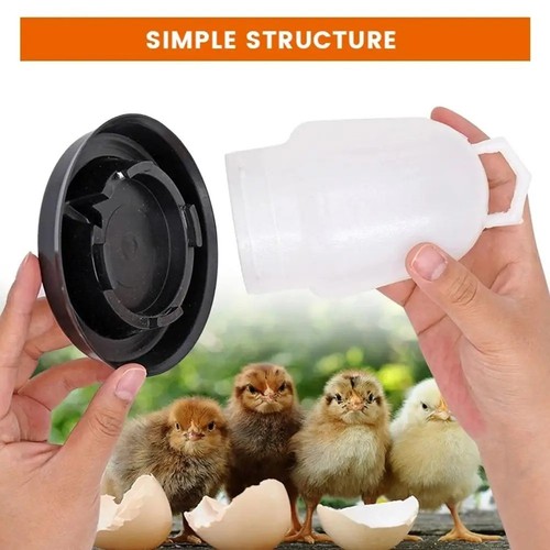 Bird drinking bowl water - bowl,
