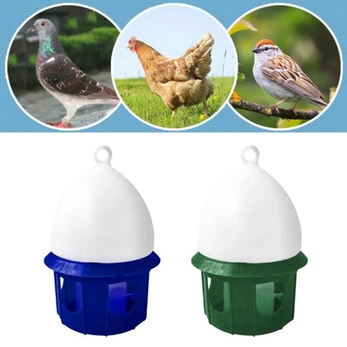 Automatic bird pigeons - bird,