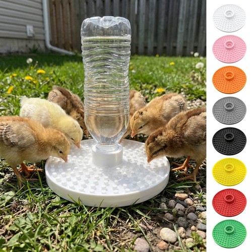 Drinker chicken poultry - drinker,