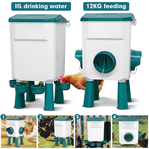 Chicken feeder bird waterer - chicken,